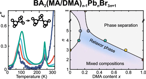 Emergence of a&nbsp;Relaxor Phase and Dimensional Tuning in Mixed 2D Hybrid Perovskites