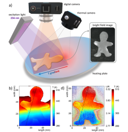 Positive luminescence thermal coefficient of Mn2+ ions for highly sensitive luminescence thermometry