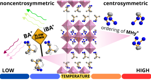 Multinoncentrosymmetric Two-Dimensional Trilayered Lead Bromide Perovskites with Methylhydrazinium Cations: Lattice Dynamics, Phase Transitions, Dielectric Response, and Optical Properties