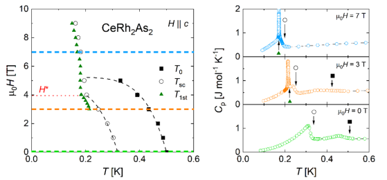 Discovery of magnetic phase transitions in heavy-fermion superconductor CeRh2As2