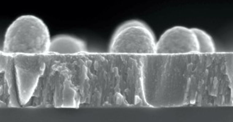 Open position for electron microscopy technician