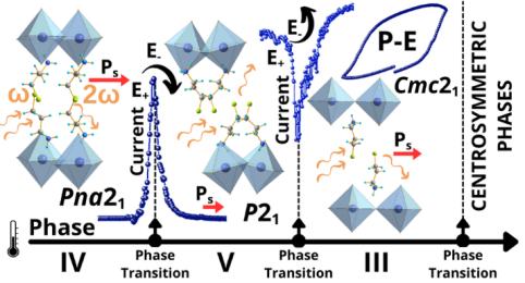 Structural frustration, metastability and cascade of polar phases in a layered lead bromide perovskite
