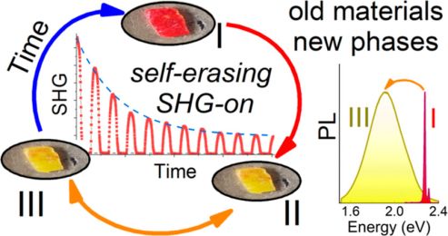 Two-Dimensional Lead Iodide Perovskites with Extremely Reduced Dielectric Confinement: Embedded Self-Erasing Second-Harmonic Generation Switching, Thermochromism, and Photoluminescence