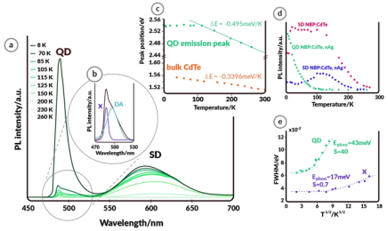 Ultrafast photoluminescence and multiscale light amplification in nanoplasmonic cavity glass