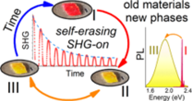 Two-Dimensional Lead Iodide Perovskites with Extremely Reduced Dielectric Confinement: Embedded Self-Erasing Second-Harmonic Generation Switching, Thermochromism, and Photoluminescence